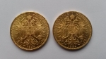 20 korun 1894 bz reverz