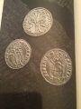 Florény kráľa Karola I. Róberta z Anjou razené v Kremnici, alebo Budíne 1325 - 1342